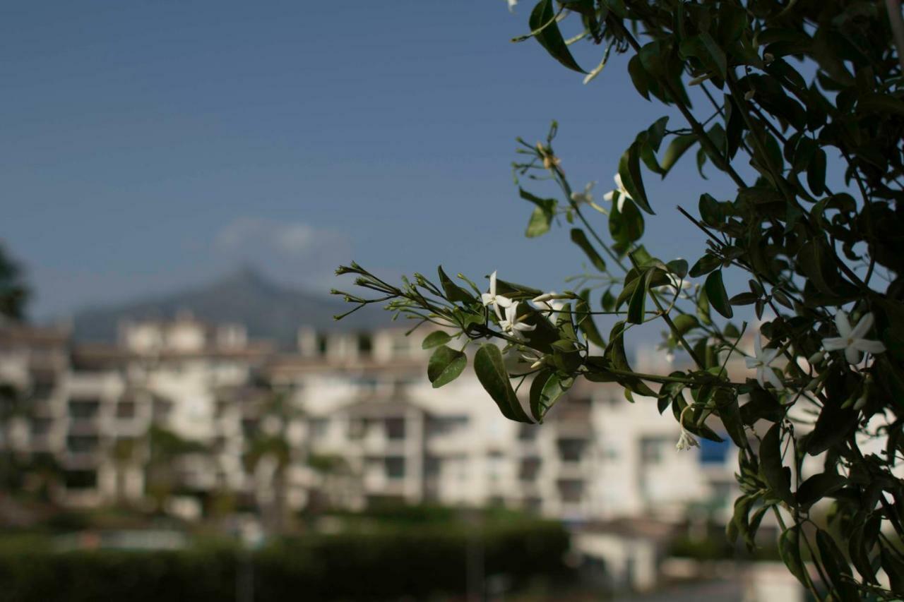 Cozy Apartment Banus Marbella Exterior photo